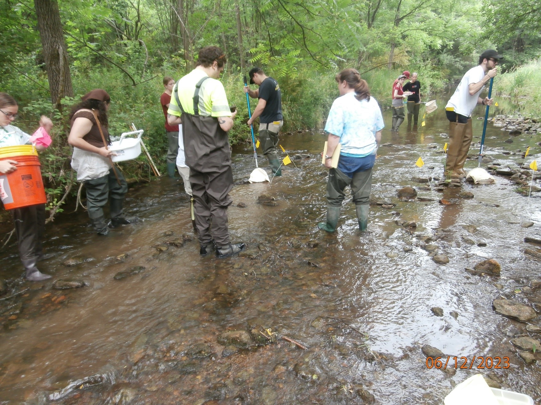 A group of people collecting samples from a stream.