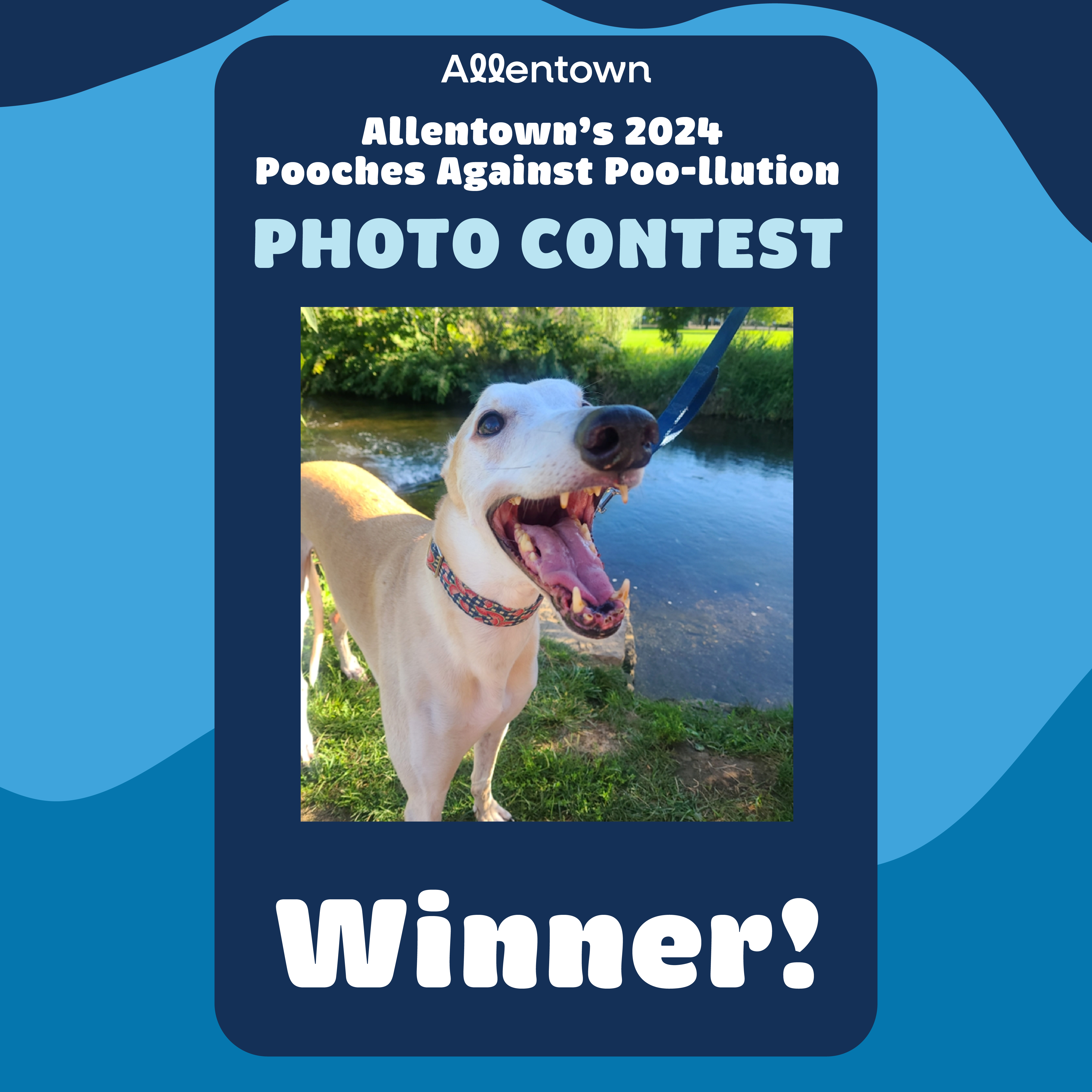 Photo Contest Winner