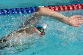 lap-swim