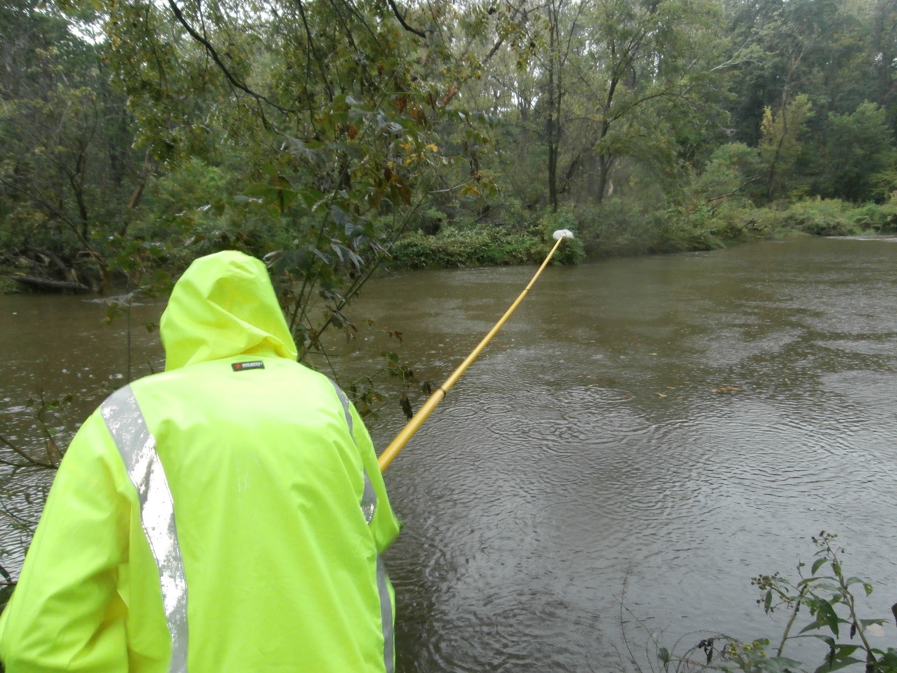 City employee taking water sample.